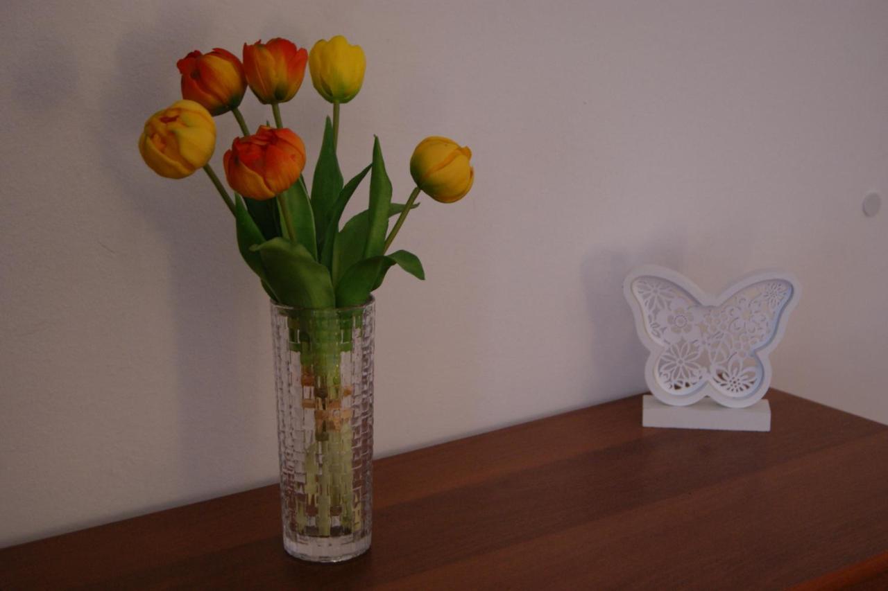 Apartment Lynx Korenica Buitenkant foto